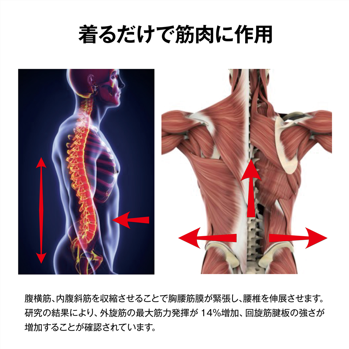 POSTURE2.0 Men（姿勢コントロールシャツ 男性用）