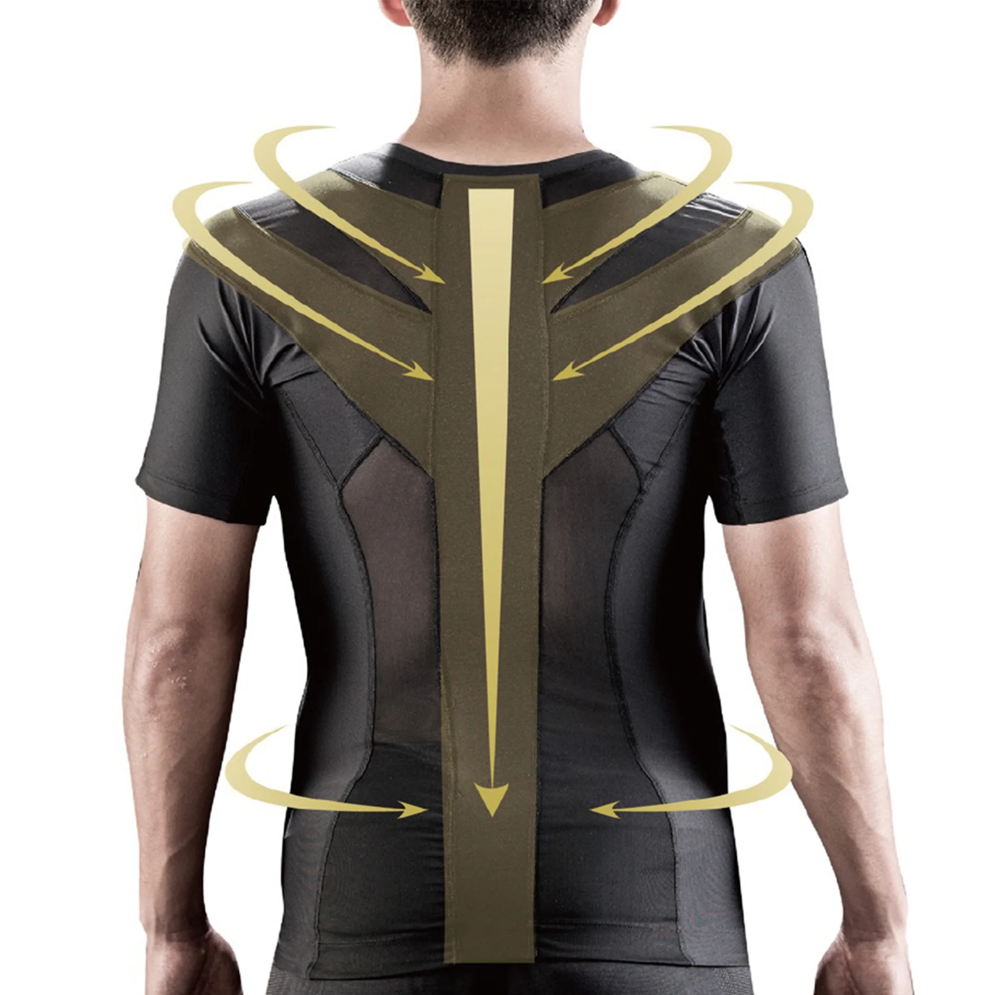 POSTURE 2.0背面のバンド配置